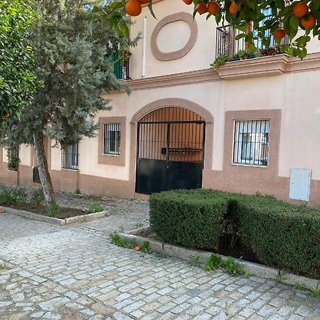 Sevilla. Gerena Casa Rural Para Familia O Profesionales 外观 照片