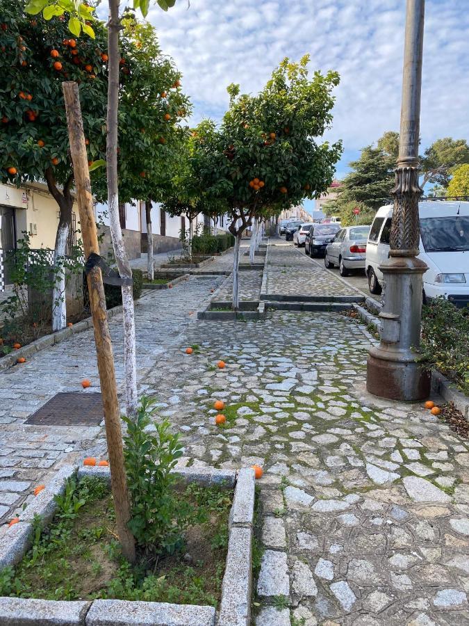 Sevilla. Gerena Casa Rural Para Familia O Profesionales 外观 照片