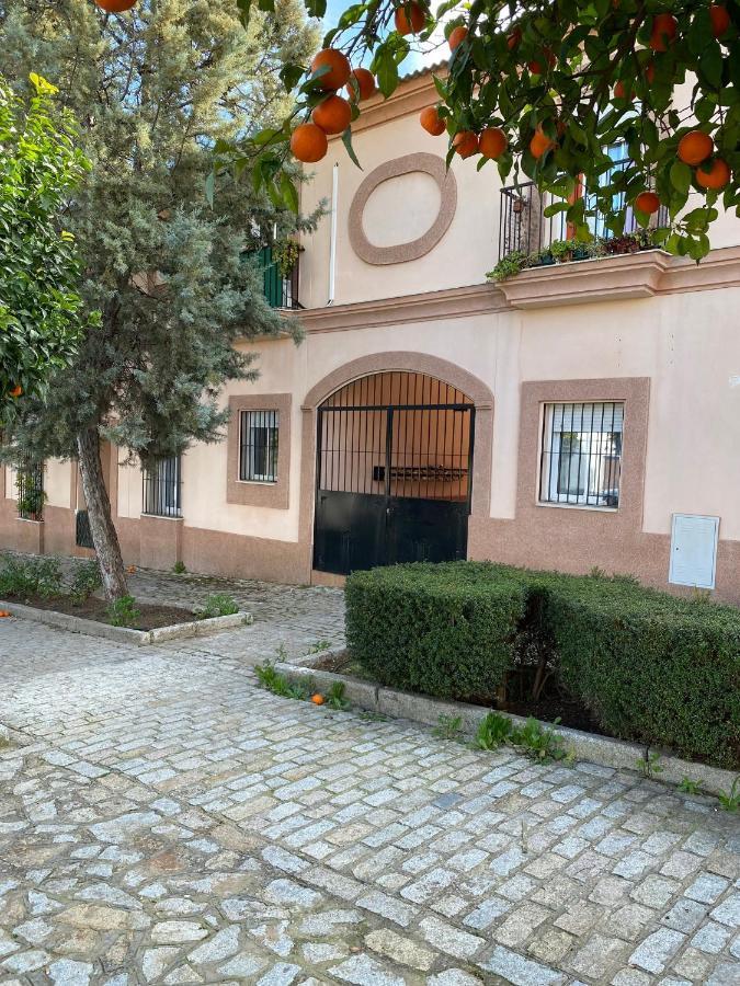 Sevilla. Gerena Casa Rural Para Familia O Profesionales 外观 照片